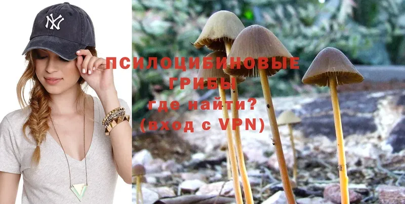 ОМГ ОМГ ссылка  Никольск  Галлюциногенные грибы Psilocybe 